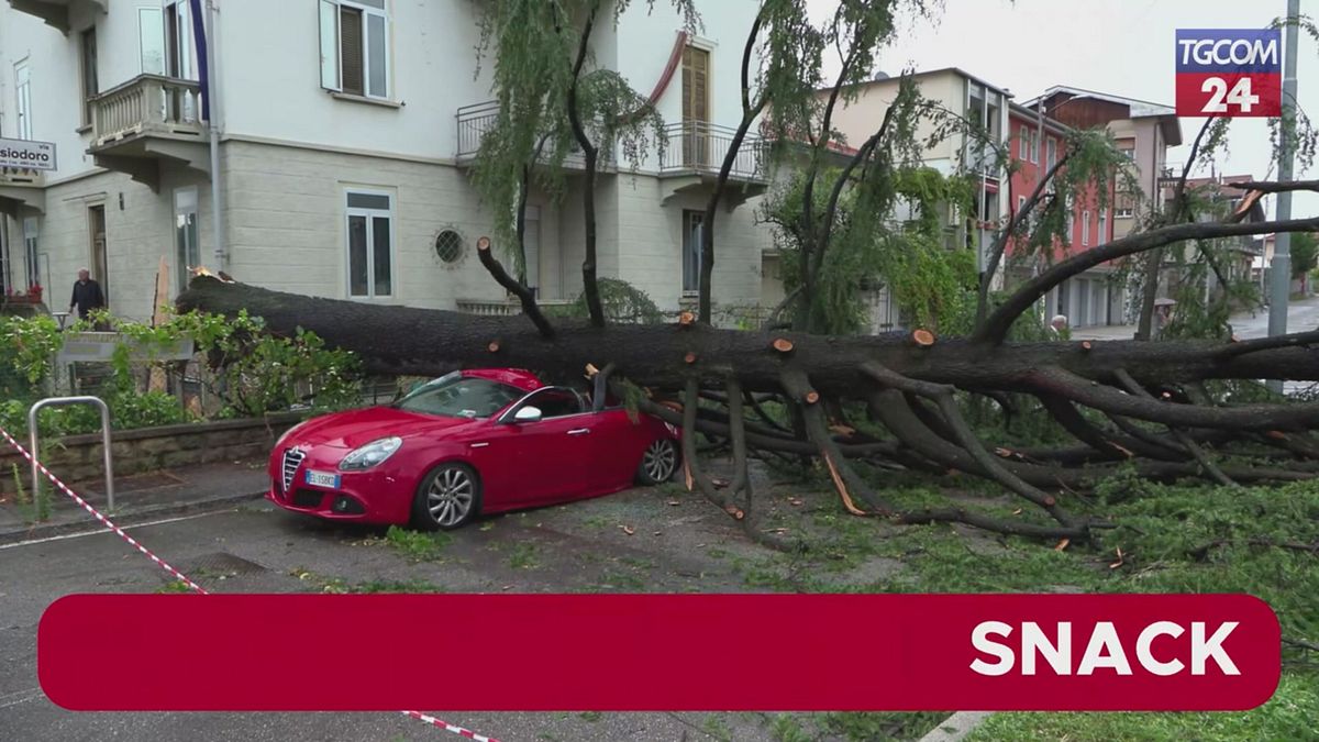 Maltempo, albero cade su auto a Varese: automobilista salvo per miracolo