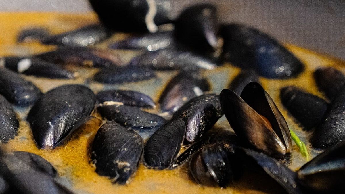 Sagra Nazionale delle cozze di Pedaso