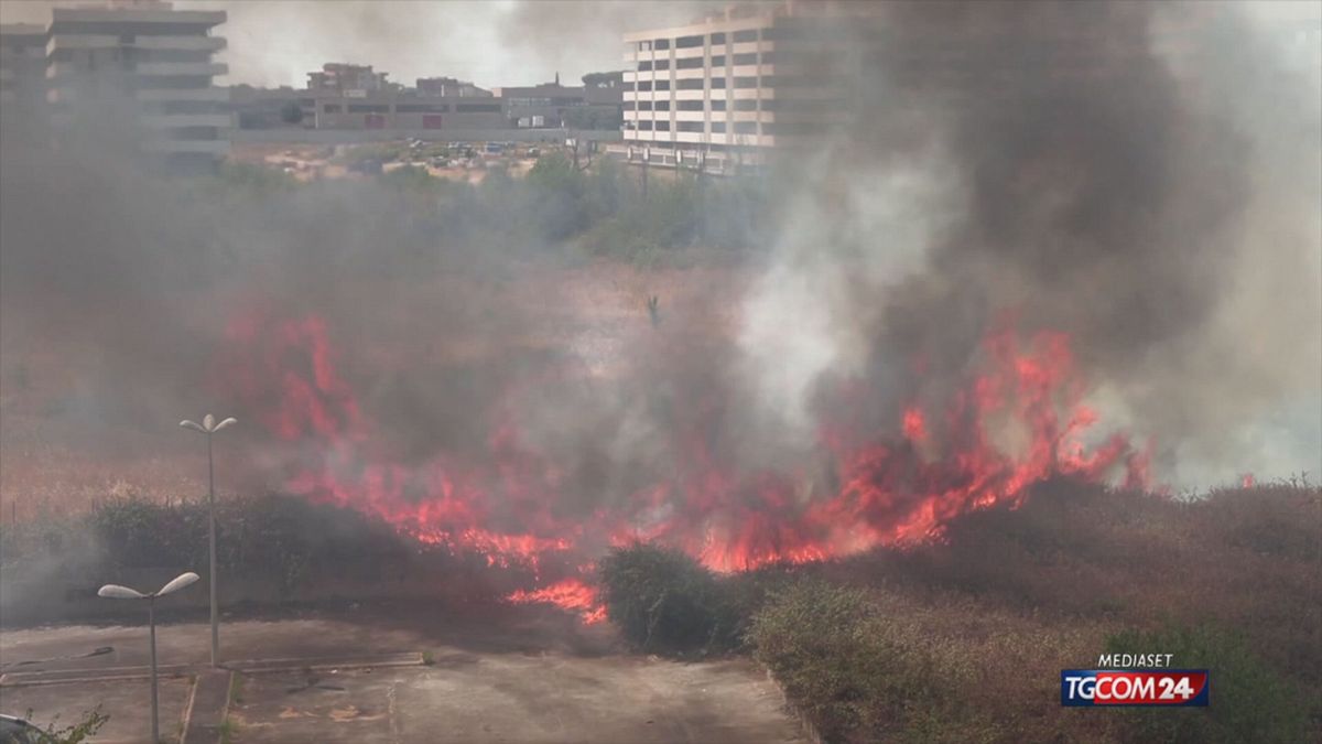 17.00 INCENDI, PARLANO I FORESTALI FF SRV