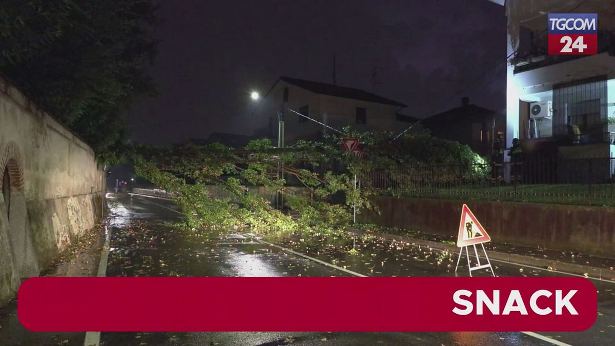 Maltempo, alberi caduti nel Comasco: strade interrotte