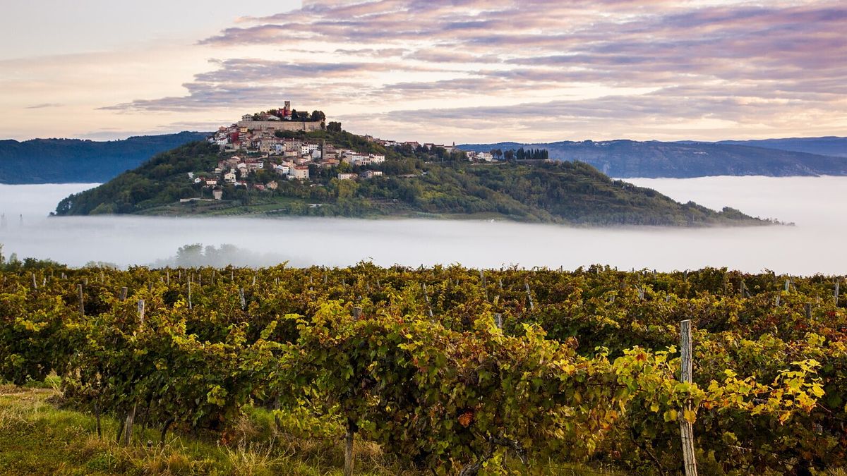 Motovun - ph ET Istria PH ART Frank Heuer