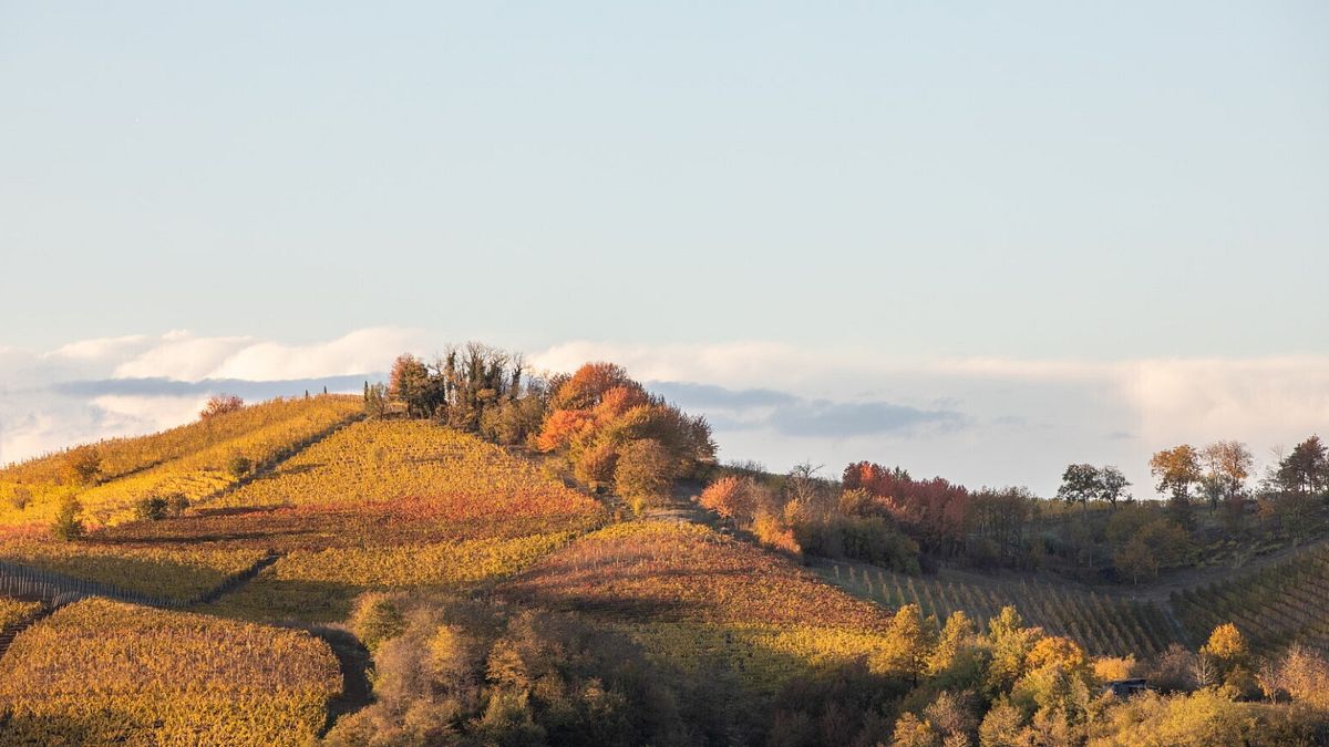 Foliage, Canelli, Sant'Antonio - ph Mikael Masoero