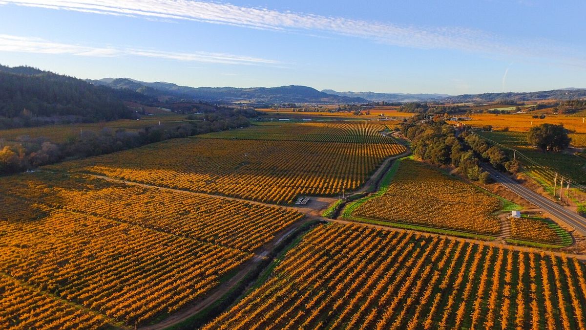 Dry Creek Valley - ph Mariah Harkey Sonoma County