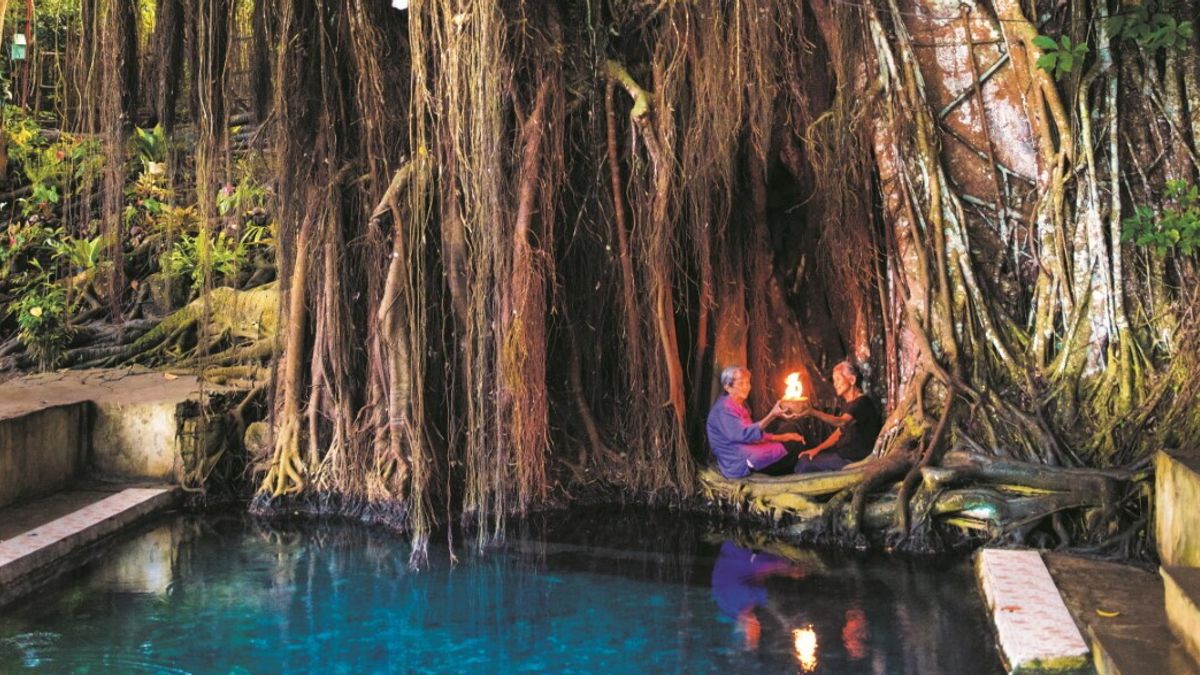 Old Enchanted Balete Tree, Siquijor 