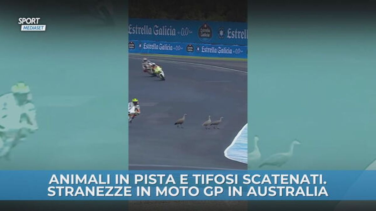 Animali in pista e tifosi scatenati. Stranezze in Moto Gp in Australia