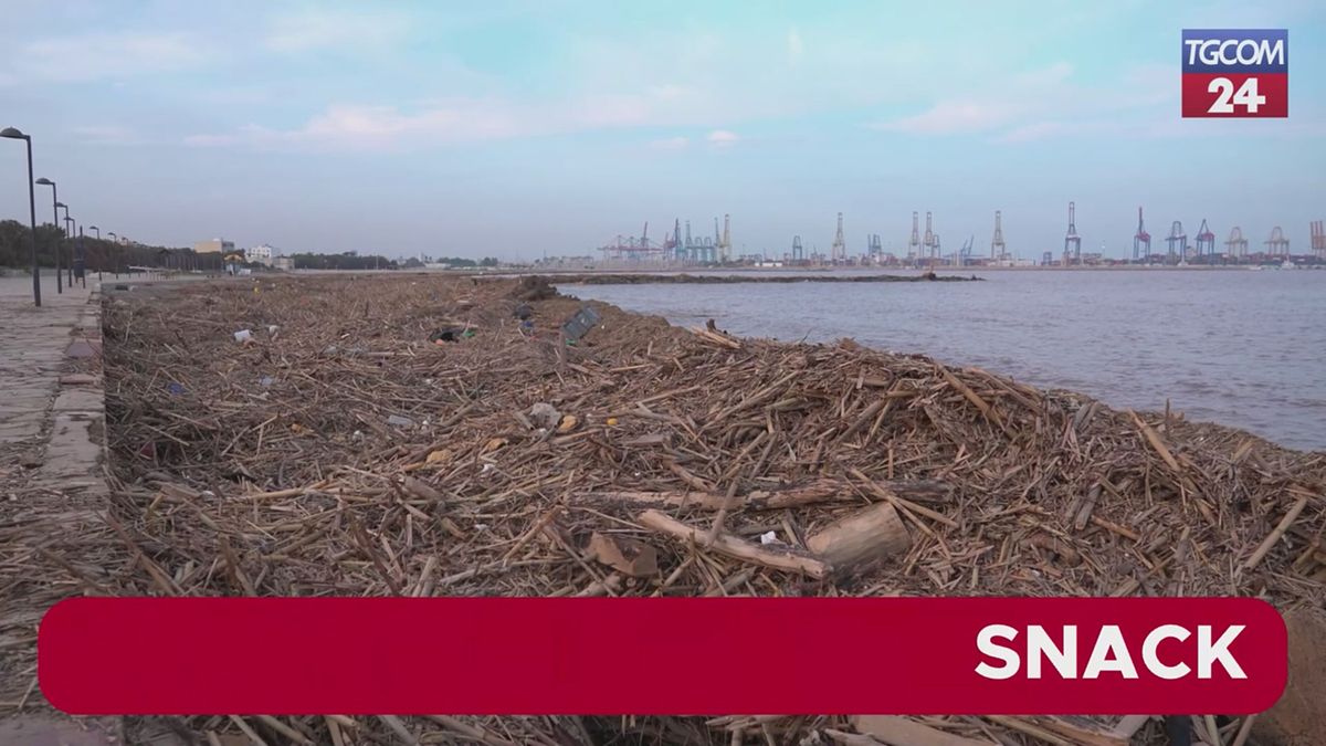 Valencia, distesa di detriti lungo la costa