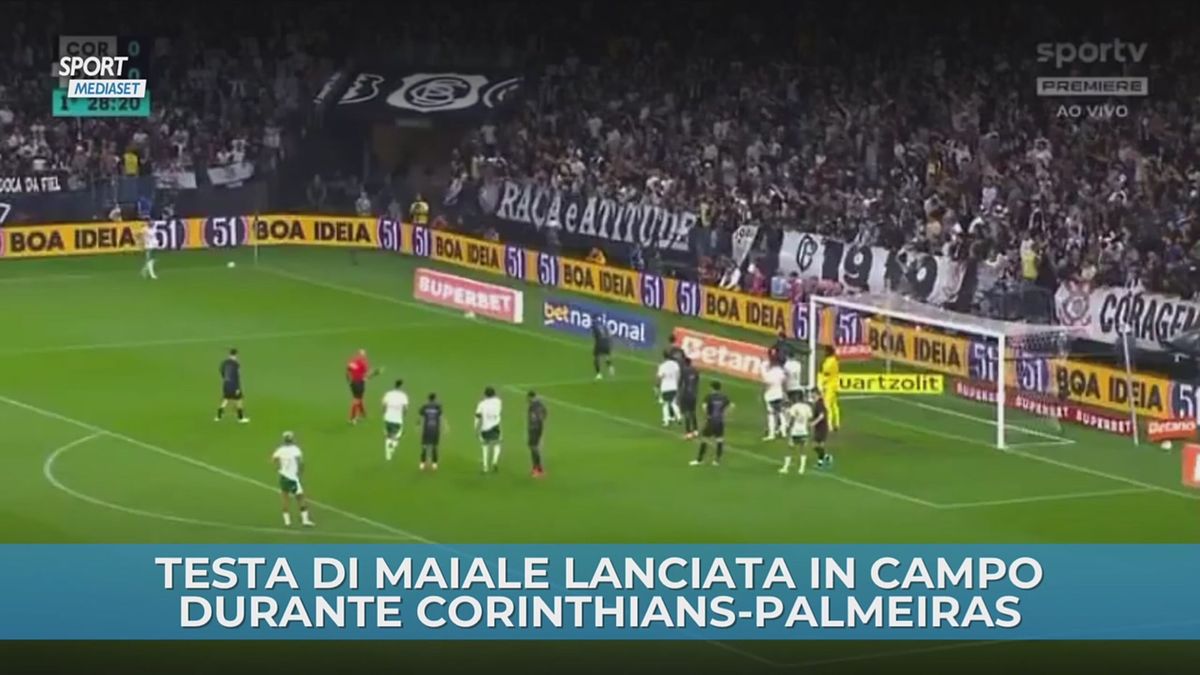 Testa di maiale lanciata in campo durante Corinthians -Palmeiras