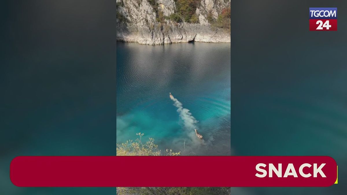 Abruzzo, gruppo di cervi avvistato mentre nuota nel Lago di San Domenico