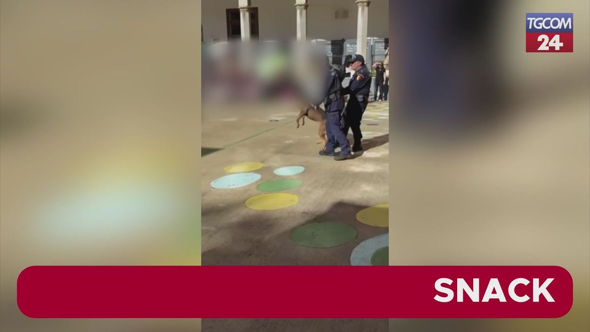 Palermo, dimostrazione dei vigili con spari a salve in scuola materna: è polemica