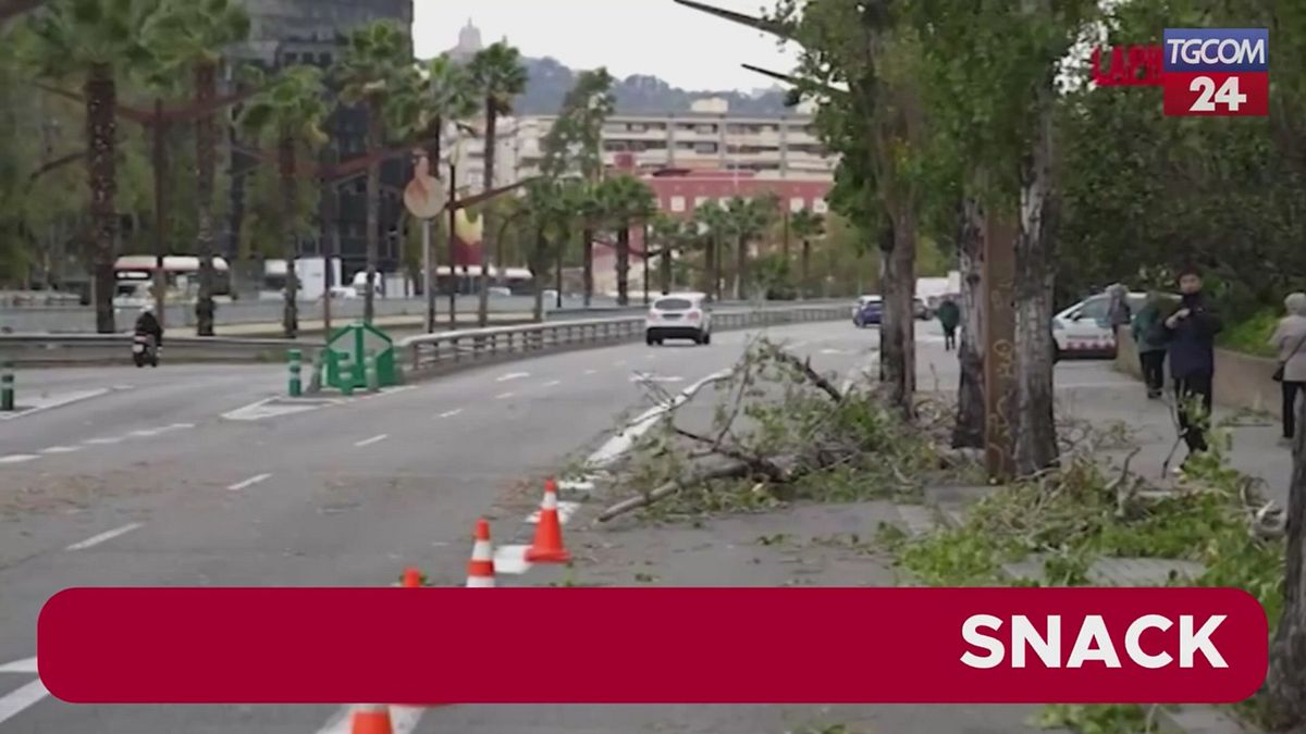 Forti raffiche di vento a Barcellona: alberi caduti, chiusi parchi e giardini