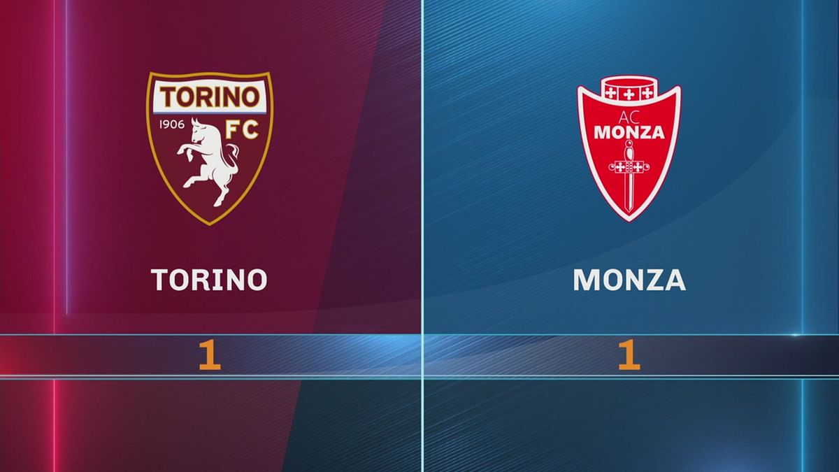 Torino-Monza 1-1: gli highlights