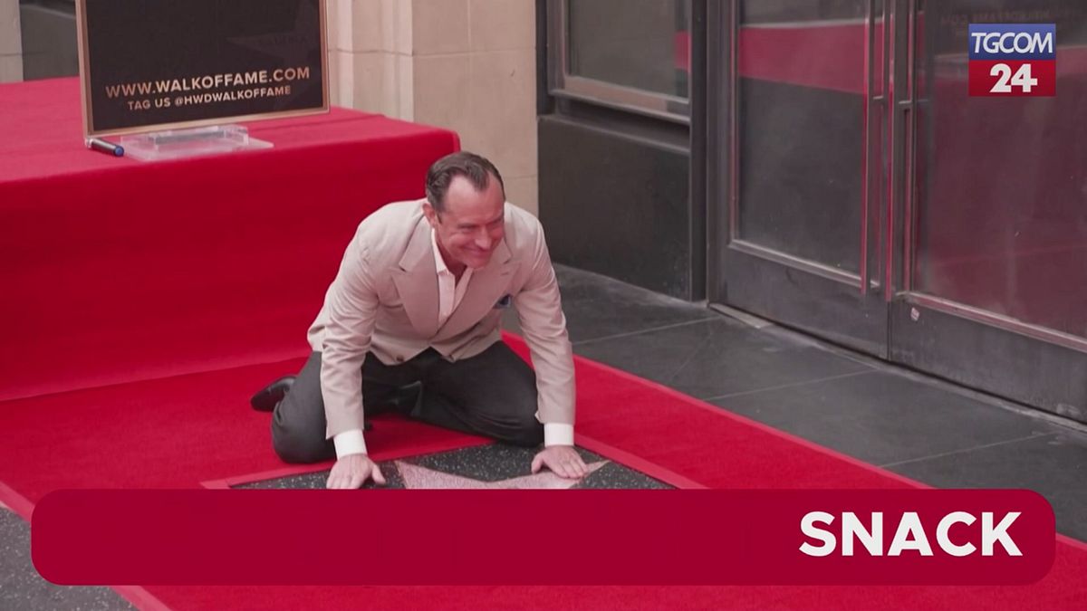 Jude Law riceve la stella sulla Walk of Fame a Hollywood