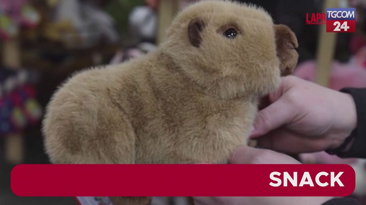 Capibara "star" del Natale: boom di oggetti a forma di roditore