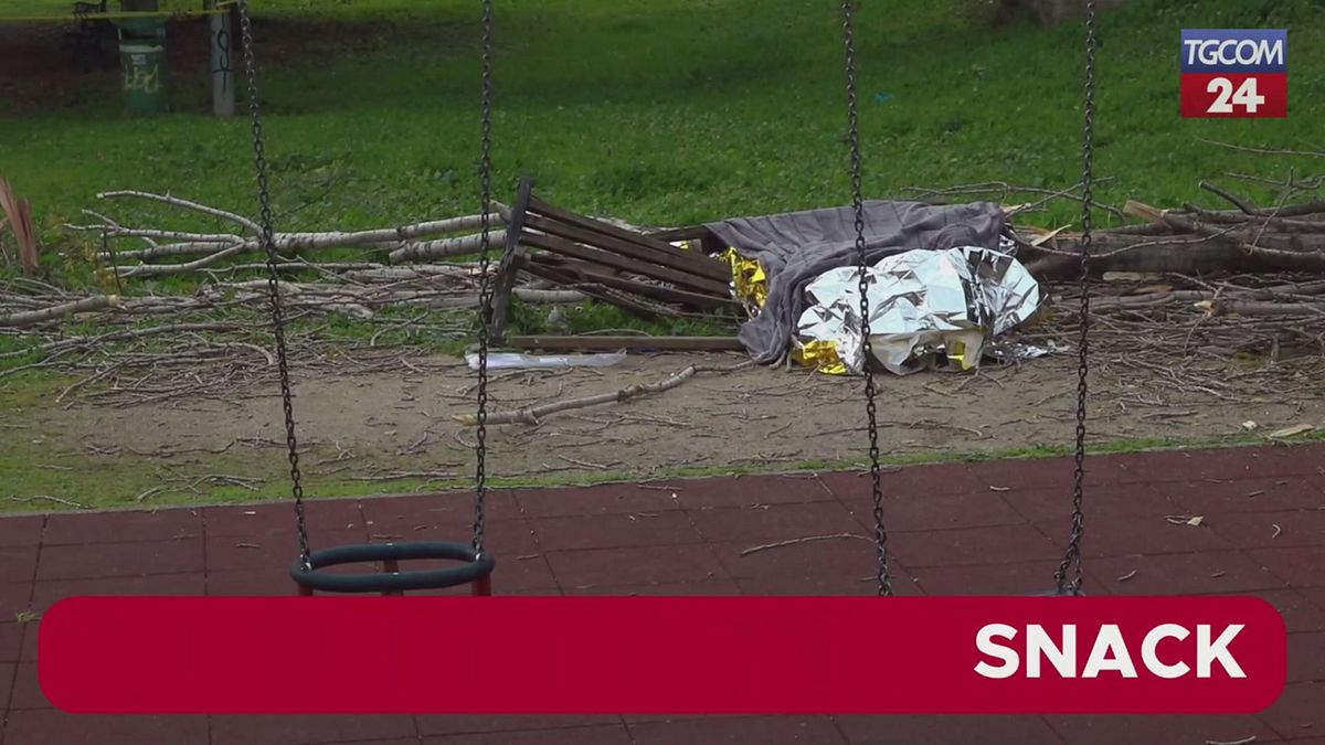 Roma, porta i figli al parco: 45enne muore schiacciata da un albero