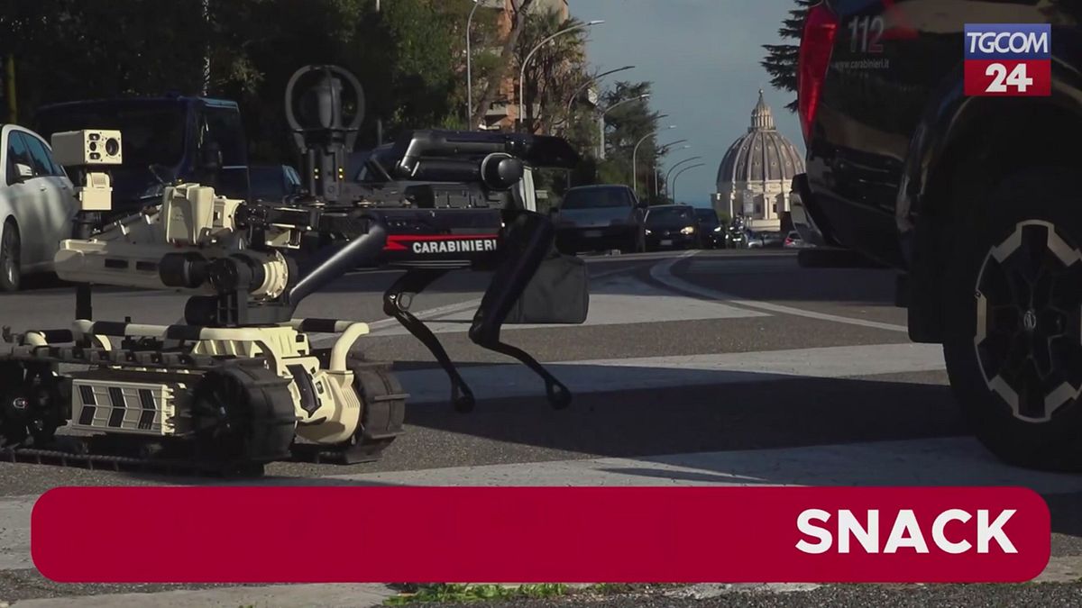 Giubileo, controlli dei carabinieri con il cane robot "Saetta"