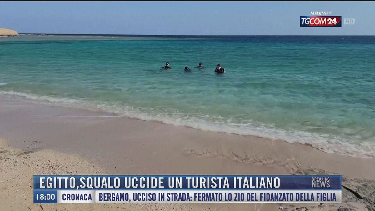 Breaking News delle 18.00 | Egitto, squalo uccide un turista italiano