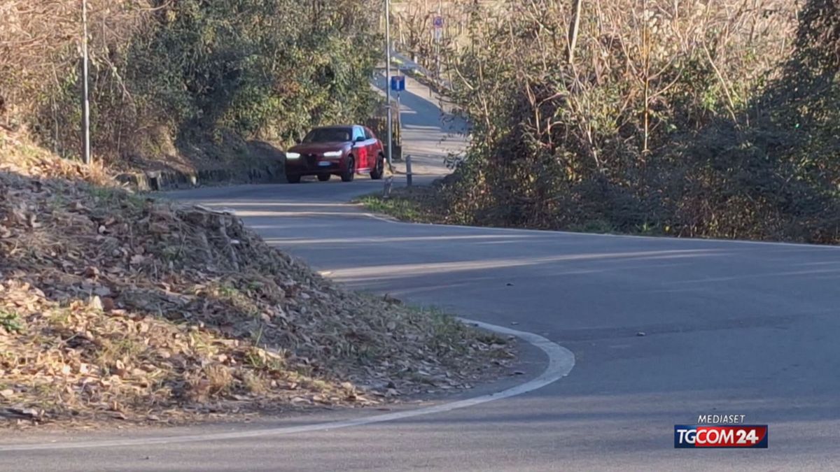 Stelvio Quadrifoglio per Sito SRV