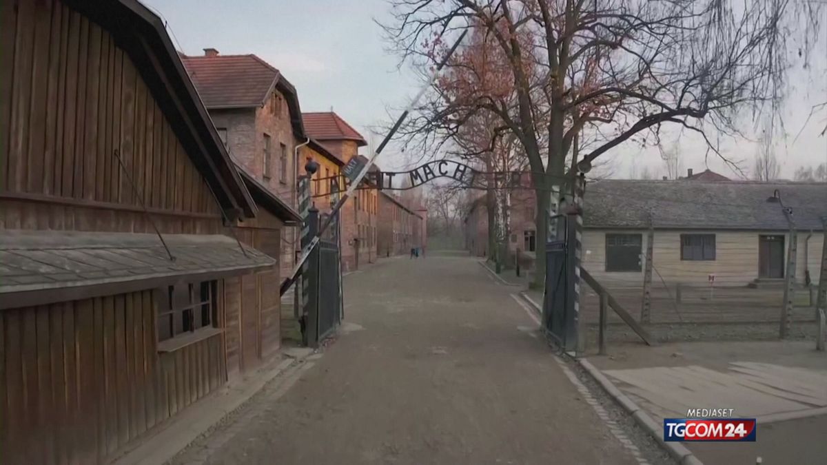 12.00 AUSCHWITZ AGGIORNAMENTO SRV