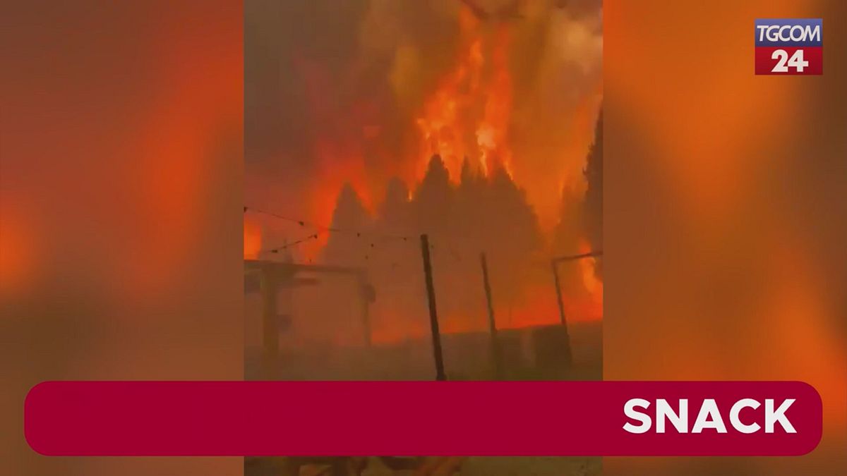 Argentina, vasto incendio in Patagonia: distrutte dalle fiamme decine di case