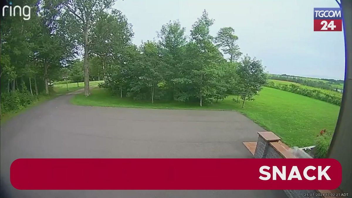 Meteorite cade davanti a casa, il momento dell'impatto ripreso dalle telecamere di sorveglianza