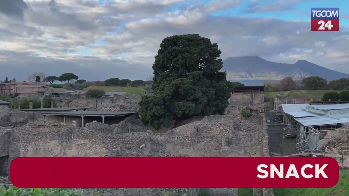 Pompei, dagli scavi emerge un grande complesso termale privato