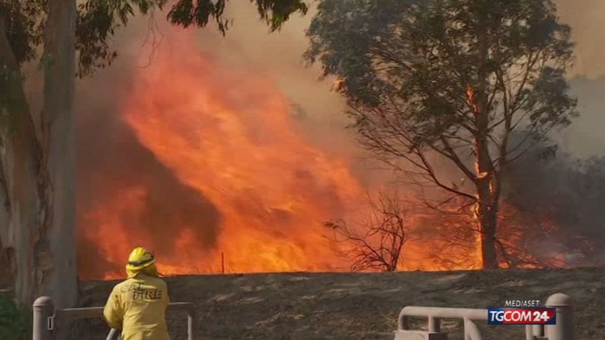 Incendi: la California brucia ancora