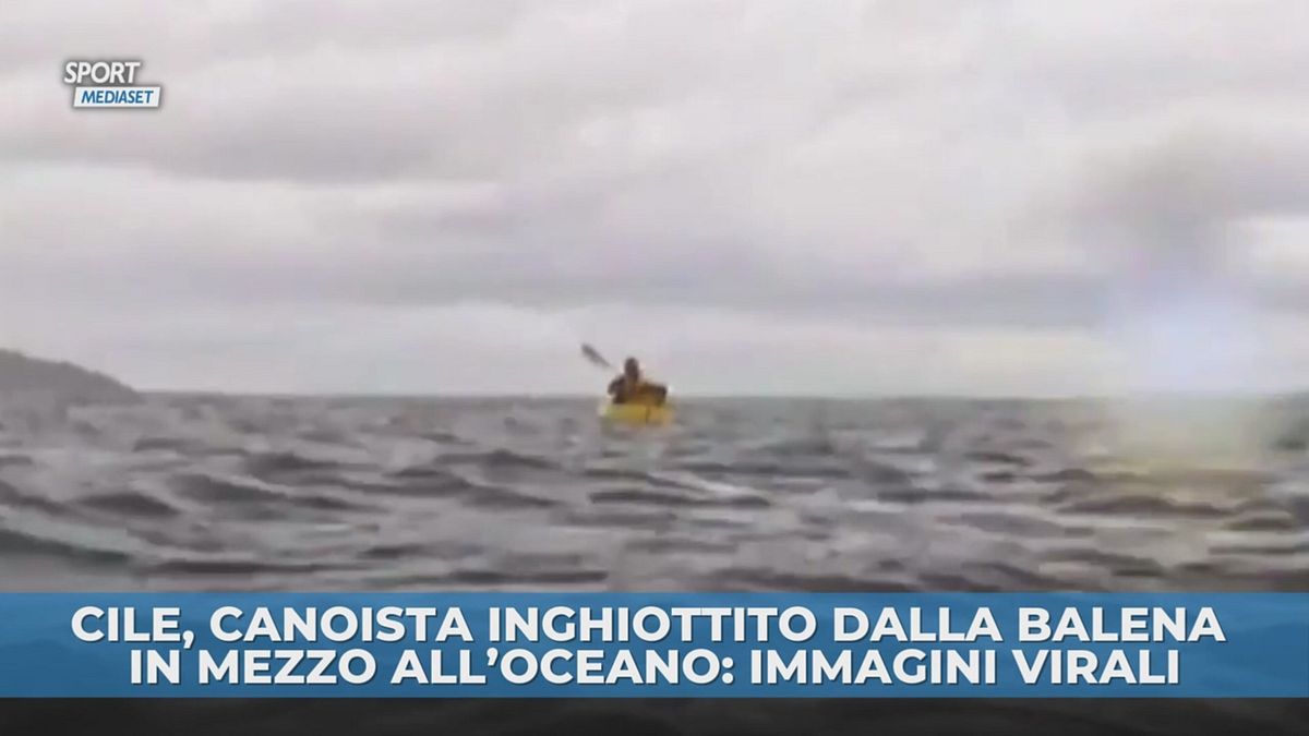 Canoista inghiottito dalla balena, immagini virali