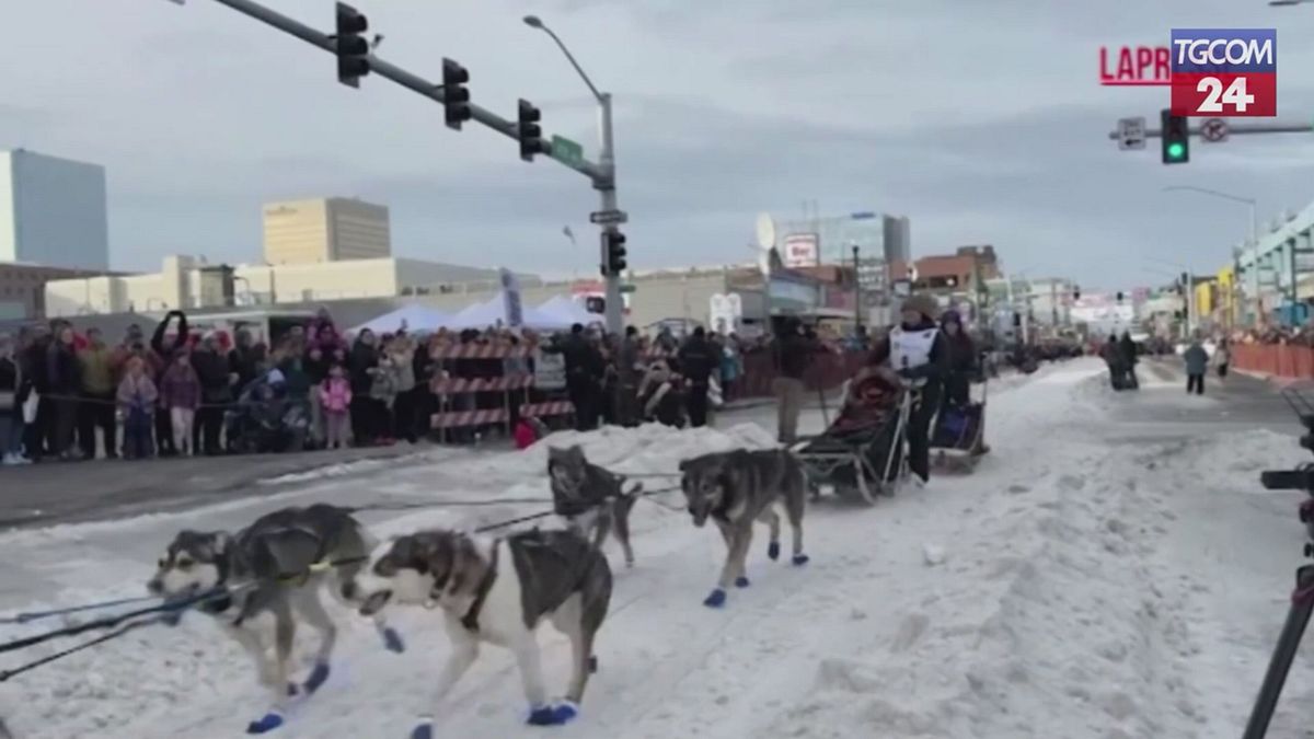 Alaska, al via la gara di slitte trainate da cani più famosa del mondo