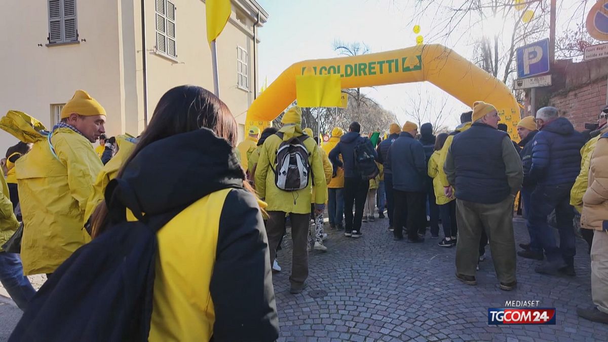 12.00 MANIFESTAZIONE COLDIRETTI SRV