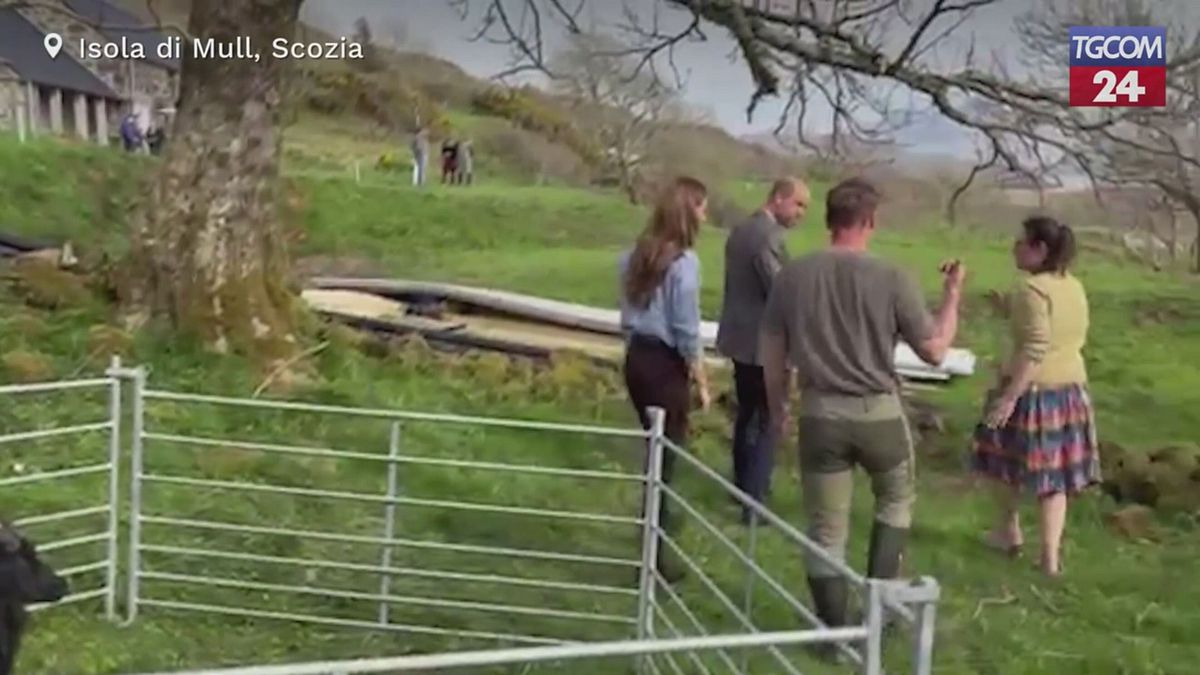 Scozia, William e Kate celebrano l'anniversario tra le meraviglie dell'isola di Mull