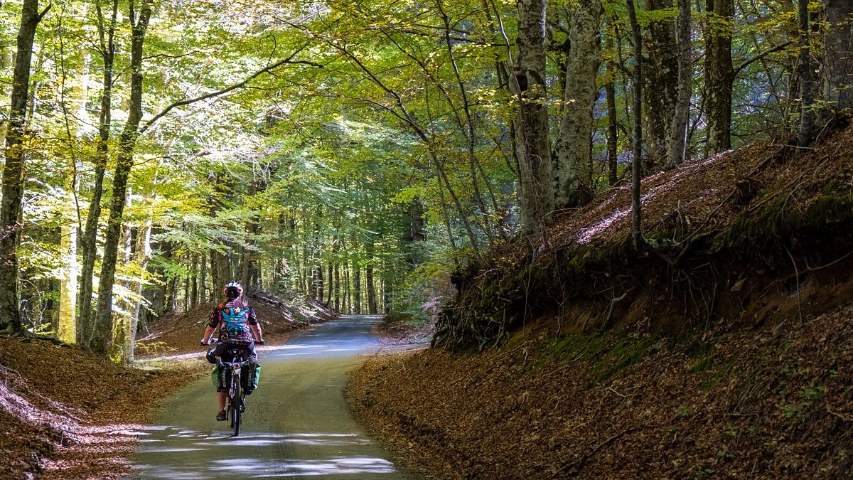  Aspromonte