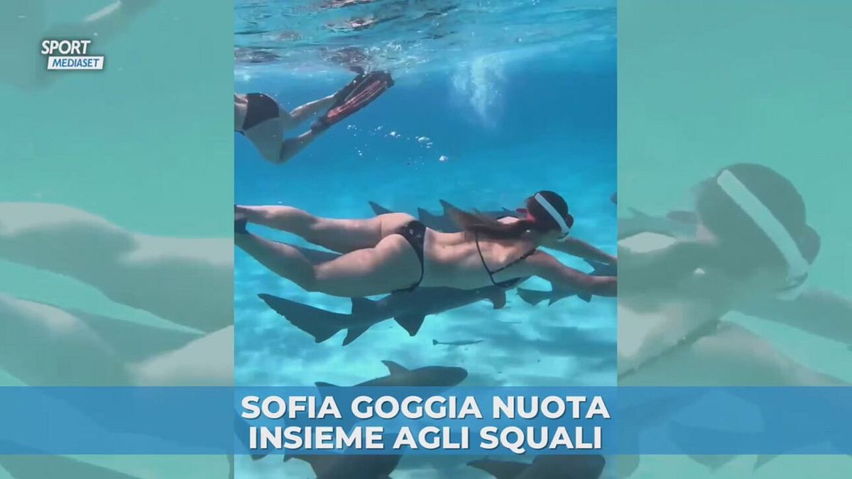 Sofia Goggia nuota con gli squali