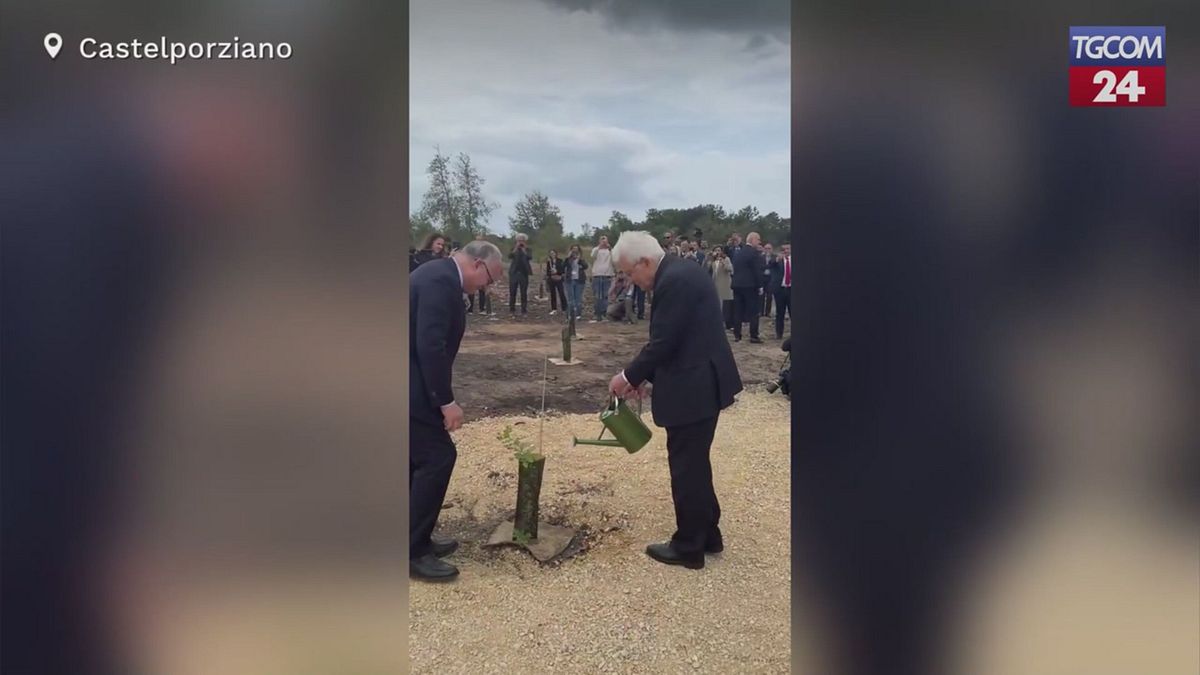 Mattarella si improvvisa giardiniere: annaffia una piantina a Castelporziano