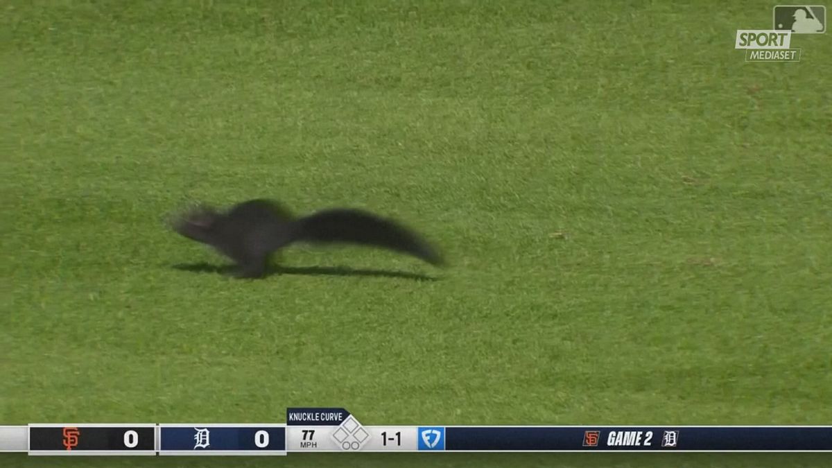 MCH SCOITATTOLO NEL BASEBALL MCH
