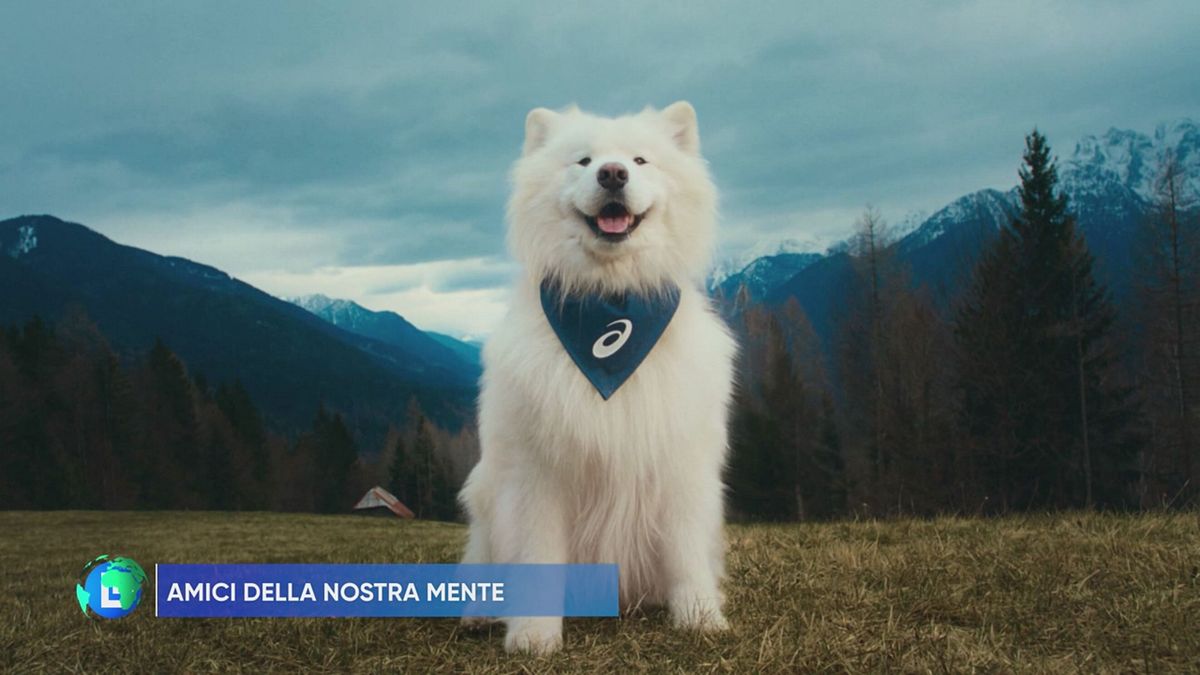 Amici della nostra mente