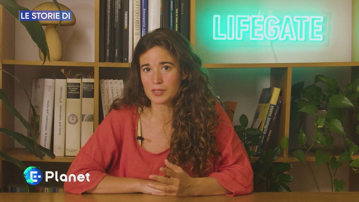Le storie di LifeGate