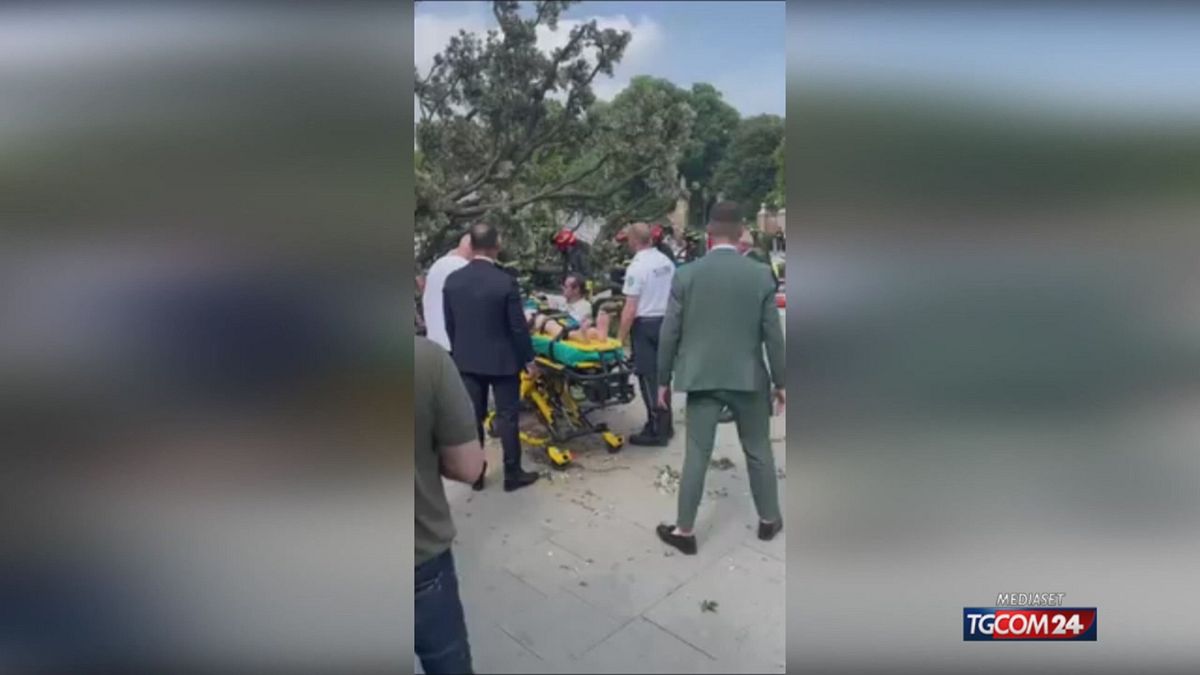 VENEZIA PER SITO SRV