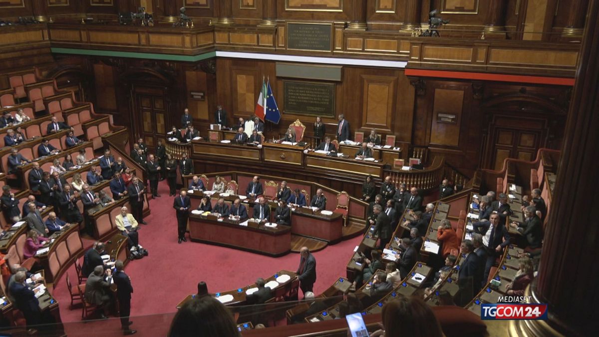 12.00 DL SICUREZZA, NOVITA' SRV