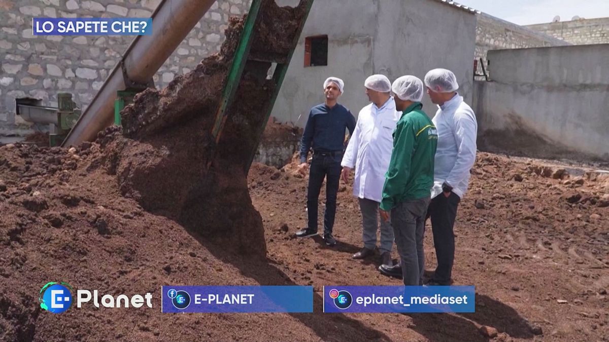 Lo Sapete che?: azienda in Tunisia che produce combustibile dagli scarti delle olive