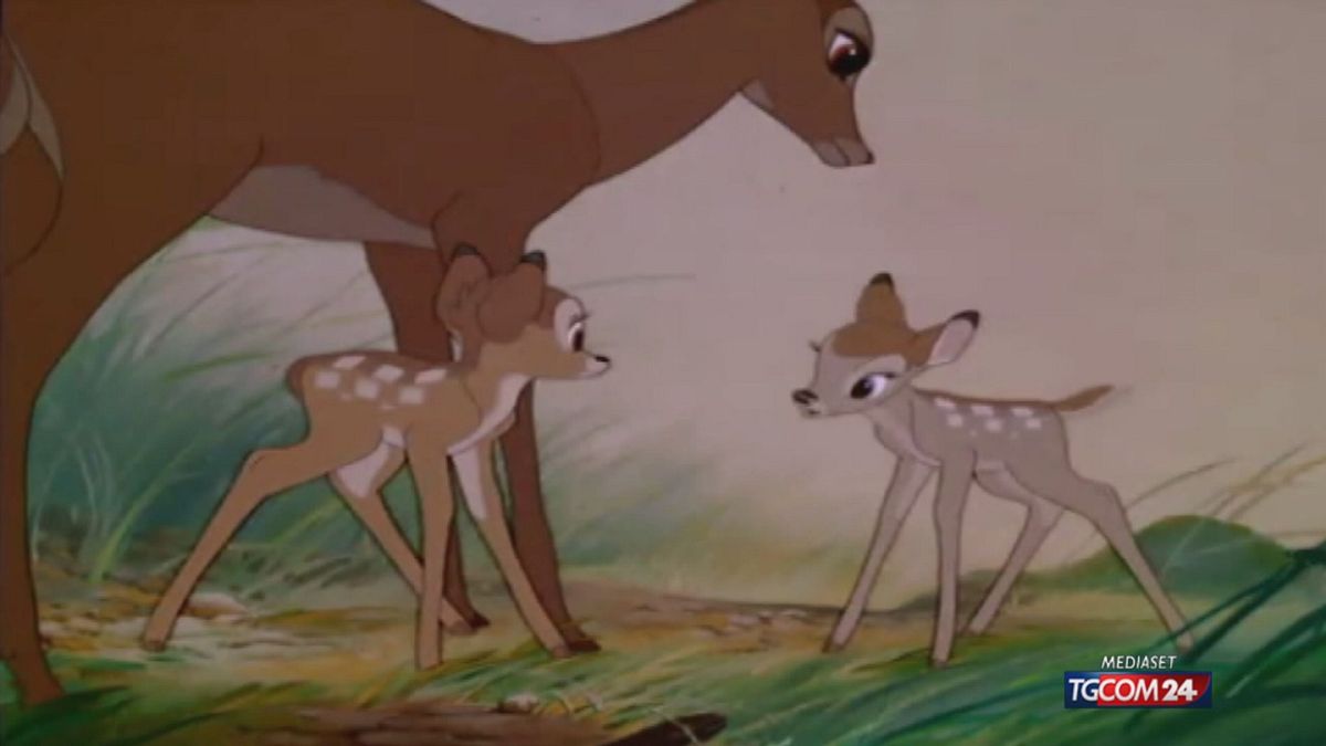 12.00 BAMBI  SRV