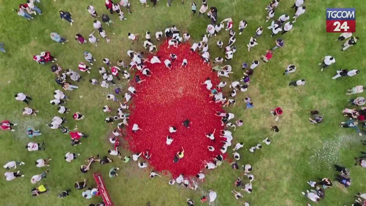 Colombia, la tradizionale festa della Tomatina: migliaia di persone in guerra con i pomodori
