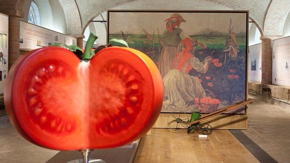  Museo del Pomodoro