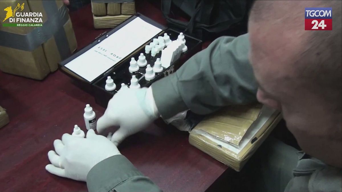 Maxi sequestro di cocaina a Gioia Tauro: scoperti 228 chili di droga