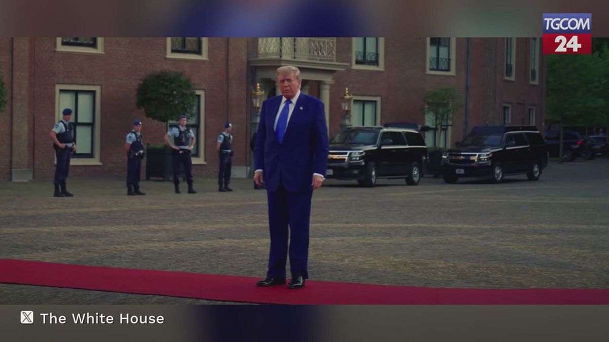 Trump torna dal vertice NATO, la Casa Bianca pubblica un video ironico sulle note di "Hey Daddy"