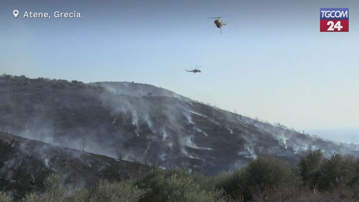 grecia incendio alle porte di atene case distrutte ed evacuazioni tra residenti e turisti