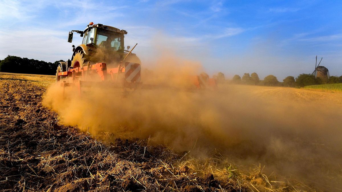 Caldo record, la Lombardia e altre 12 Regioni fermano i lavori all