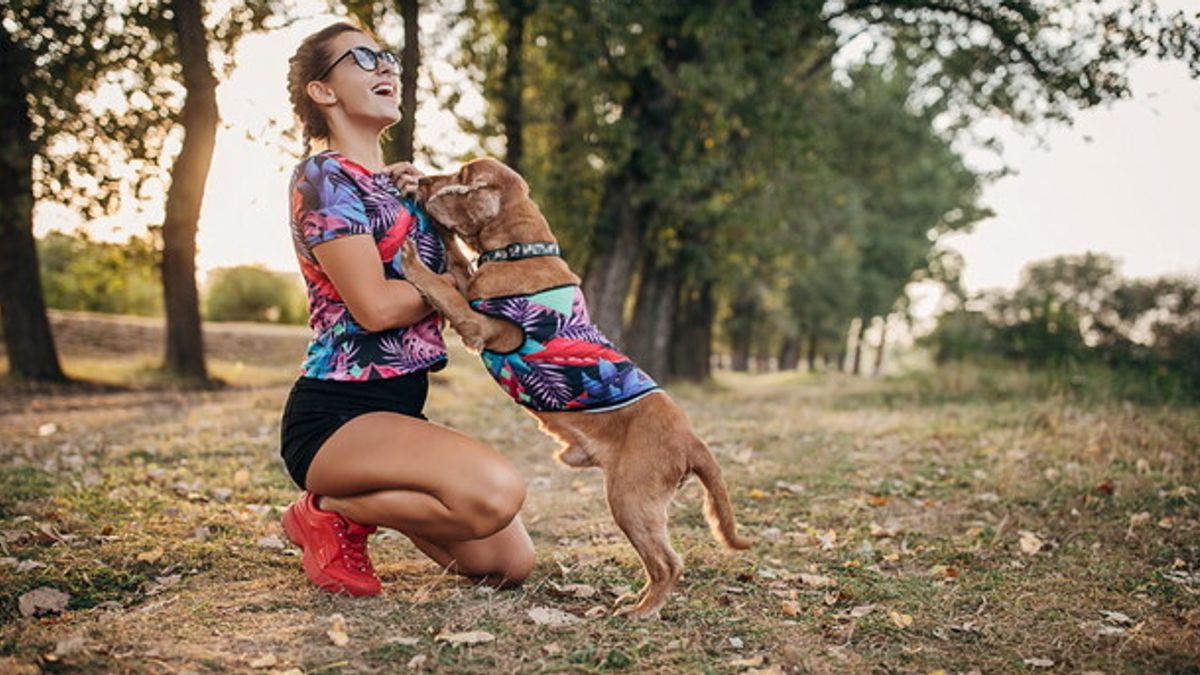 Bir köpek yavrusu seni daha mutlu etmiyor ama daha endişeli