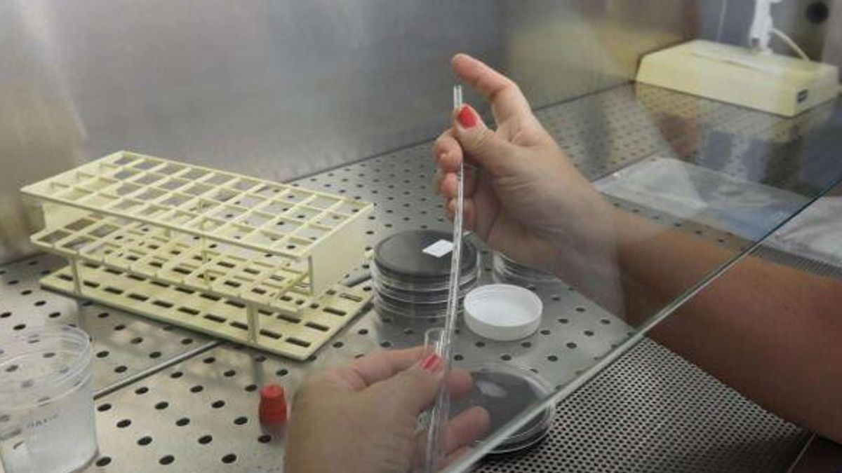 milano sospetta legionella in case popolari attivati i controlli lega e fdi un morto e diversi contagiati