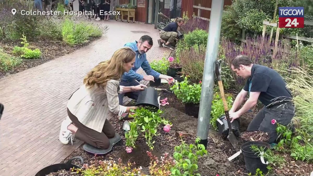 Regno Unito, la principessa Kate pianta le rose nel giardino di un ospedale
