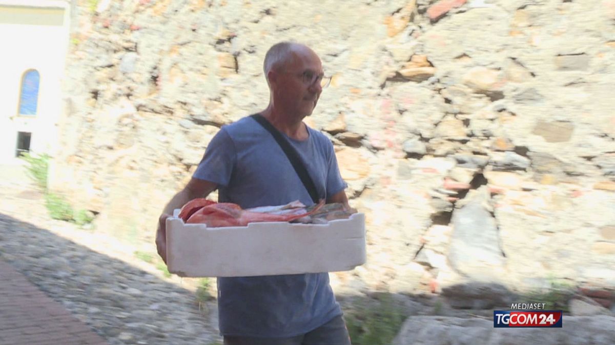 Genoa, come funzionano i controlli alla filiera ittica
